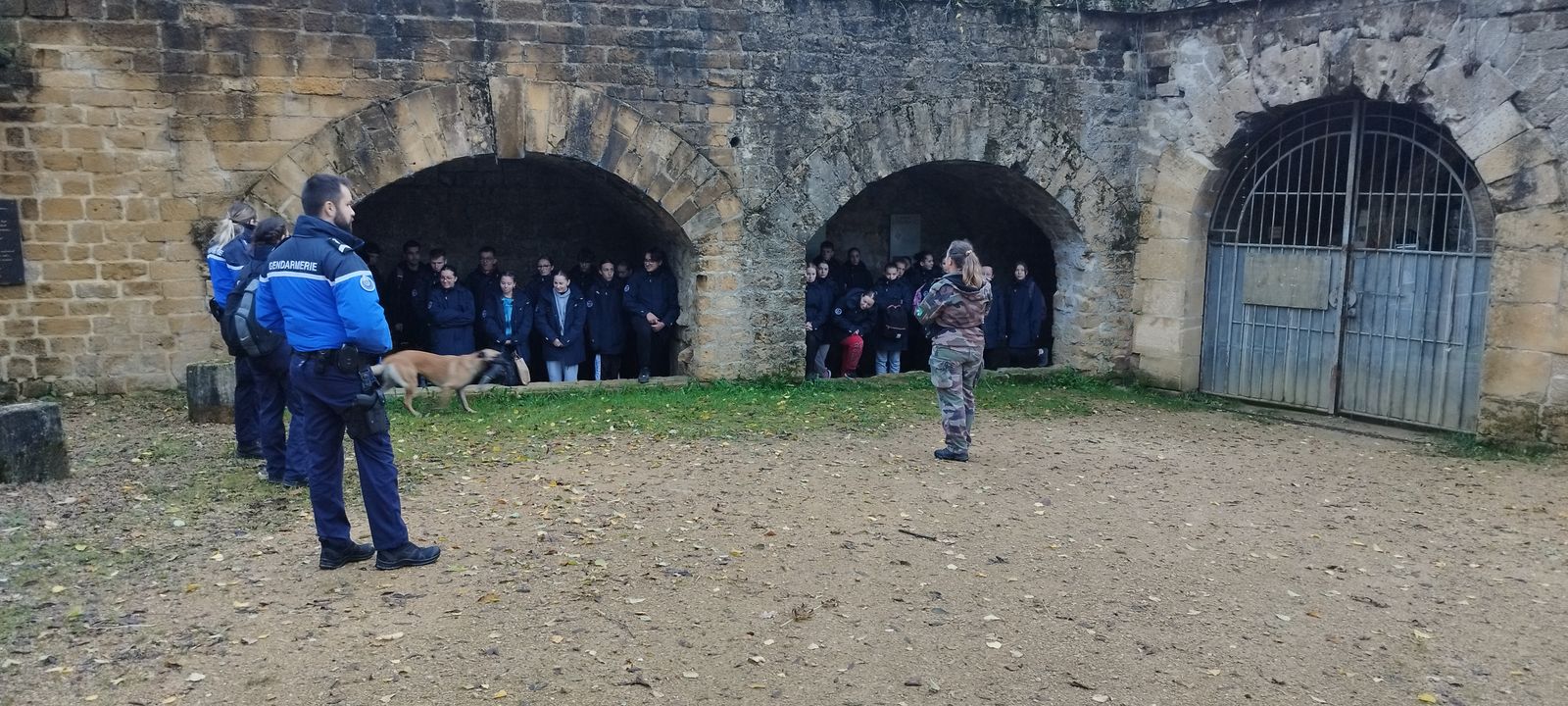 Démonstration cynophile au Fort des Ayvelles